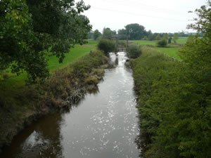 Nantwich Photos - River Weaver