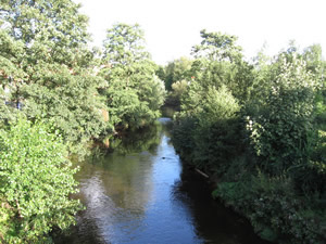 Congleton - River Dane